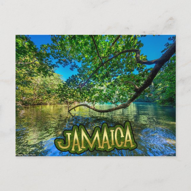 Jamaica's Blue Lagoon, Port Antonio Postcard (Front)