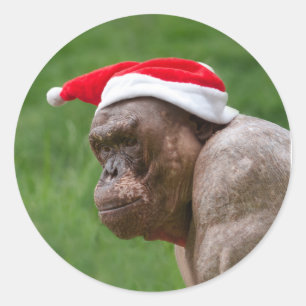 Jambo in a Christmas Hat Classic Round Sticker
