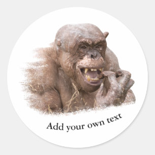Jambo the hairless Chimpanzee Classic Round Sticke Classic Round Sticker