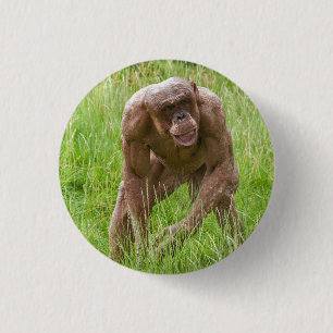 Jambo The Unique Hairless Chimp 3 Cm Round Badge