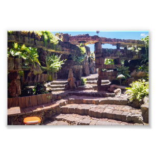 Jameos del Agua Garden, Lanzarote, Canary Islands Photo Print