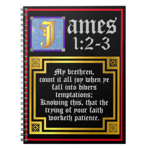 James 1:2 1:3 Illuminated KJV Biblical Quote Notebook