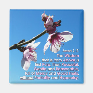 James 3v17 - Wisdom From Above Magnet