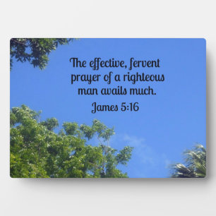 James 5:16 The effective, fervent prayer... Plaque