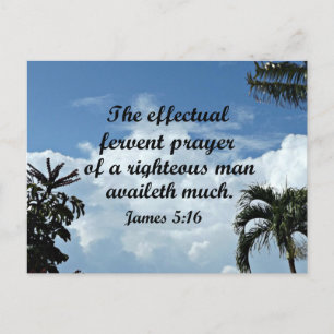 James 5:16 The effectual fervent prayer of Postcard