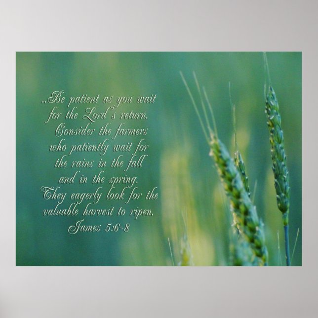 James 5:6-8 Perseverance Inspirational Poster (Front)