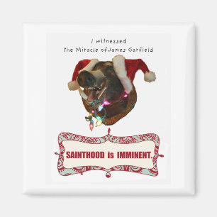 James Garfield for Sainthood Magnet