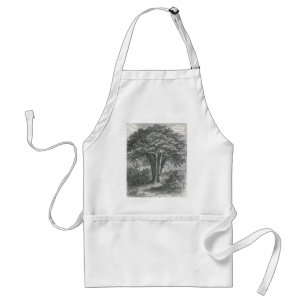 James Johonnot - The Baobab Tree Standard Apron