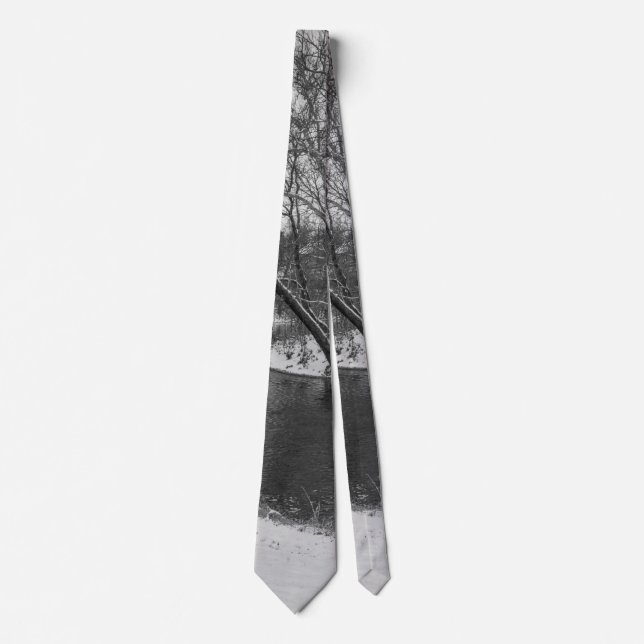 James River Cuts Back Grayscale Neck Tie (Front)