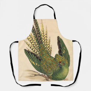 James Sowerby Ground Parrot, Psittacus terrestris  Apron