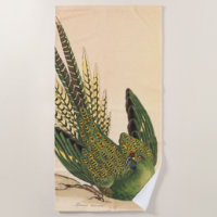 James Sowerby Ground Parrot, Psittacus terrestris