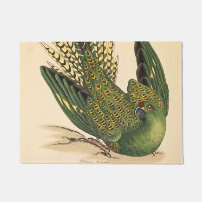 James Sowerby Ground Parrot, Psittacus terrestris  Doormat (Front)