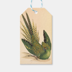 James Sowerby Ground Parrot, Psittacus terrestris Gift Tags