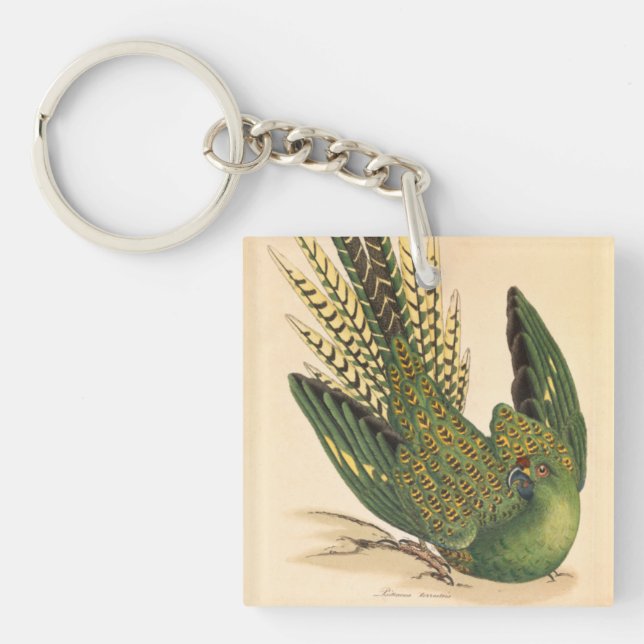 James Sowerby Ground Parrot, Psittacus terrestris  Key Ring (Front)
