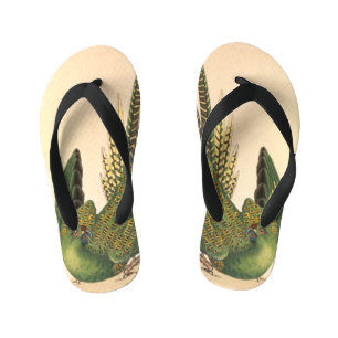 James Sowerby Ground Parrot, Psittacus terrestris  Kid's Flip Flops