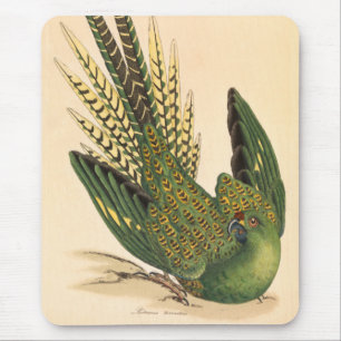 James Sowerby Ground Parrot, Psittacus terrestris Mouse Mat