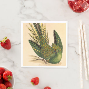 James Sowerby Ground Parrot, Psittacus terrestris Napkin