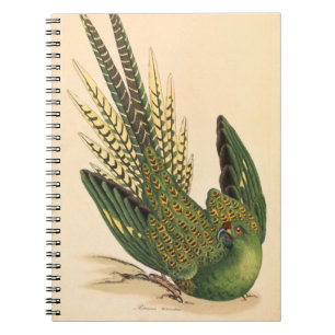 James Sowerby Ground Parrot, Psittacus terrestris  Notebook
