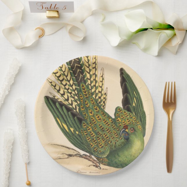 James Sowerby Ground Parrot, Psittacus terrestris  Paper Plate (Wedding)