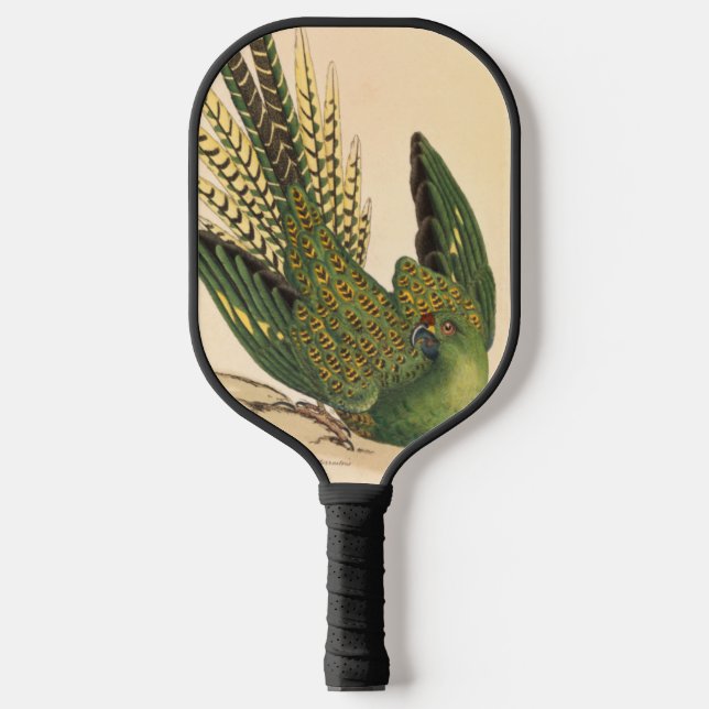 James Sowerby Ground Parrot, Psittacus terrestris  Pickleball Paddle (Front)