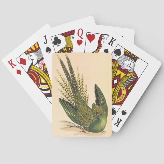James Sowerby Ground Parrot, Psittacus terrestris  Playing Cards (Back)