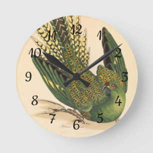 James Sowerby Ground Parrot, Psittacus terrestris  Round Clock