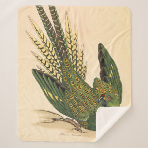 James Sowerby Ground Parrot, Psittacus terrestris  Sherpa Blanket