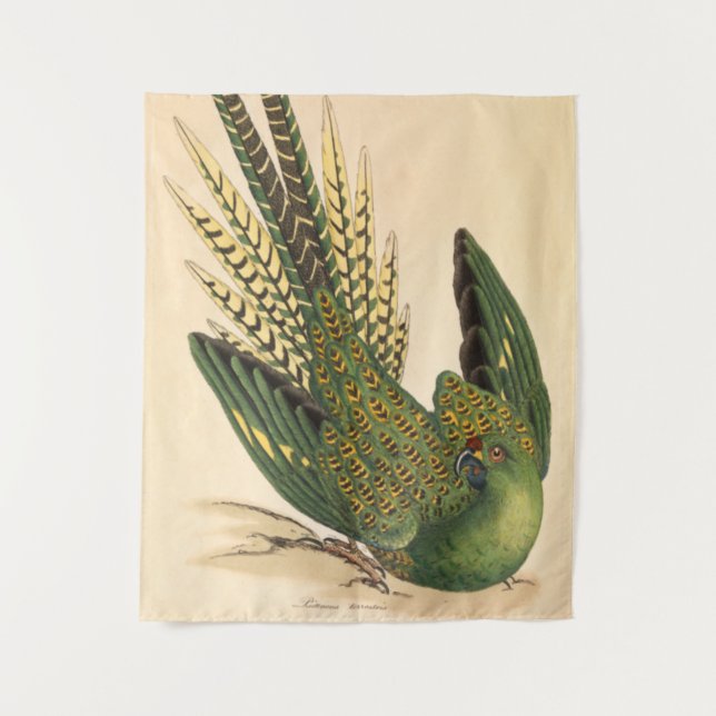 James Sowerby Ground Parrot, Psittacus terrestris  Tapestry (Front)