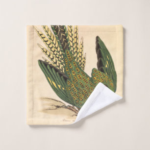 James Sowerby Ground Parrot, Psittacus terrestris  Wash Cloth