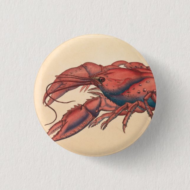 James Sowerby  Serrated Lobster     3 Cm Round Badge (Front)