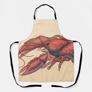 James Sowerby  Serrated Lobster   C Apron