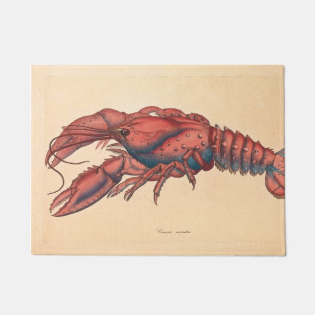 James Sowerby  Serrated Lobster  Doormat (Front)