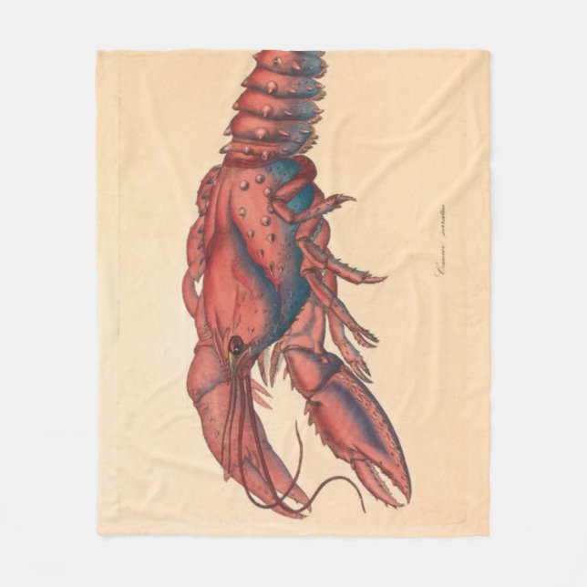 James Sowerby  Serrated Lobster    Fleece Blanket (Front)