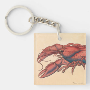 James Sowerby  Serrated Lobster     Key Ring