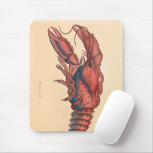 James Sowerby Serrated Lobster Mouse Mat