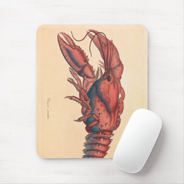 James Sowerby  Serrated Lobster  Mouse Mat (With Mouse)