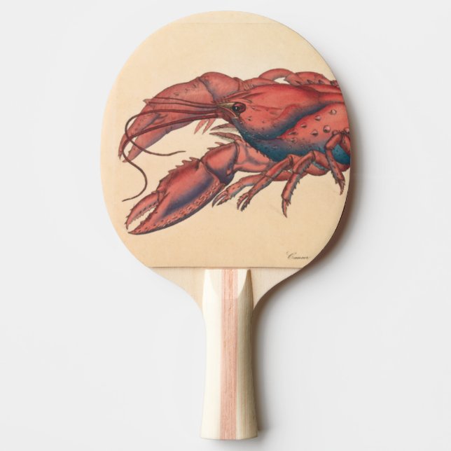 James Sowerby  Serrated Lobster   Ping Pong Paddle (Front)