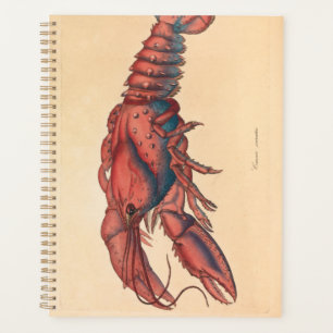 James Sowerby Serrated Lobster Planner