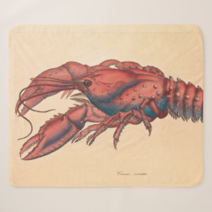 James Sowerby Serrated Lobster Sherpa Blanket