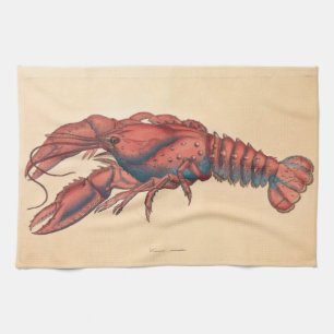 James Sowerby  Serrated Lobster   Tea Towel