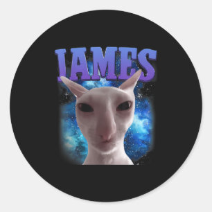 James The Cat Meme Funny Silly Cats Brainrot Meme Classic Round Sticker