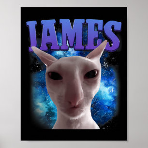 James The Cat Meme Funny Silly Cats Brainrot Meme Poster