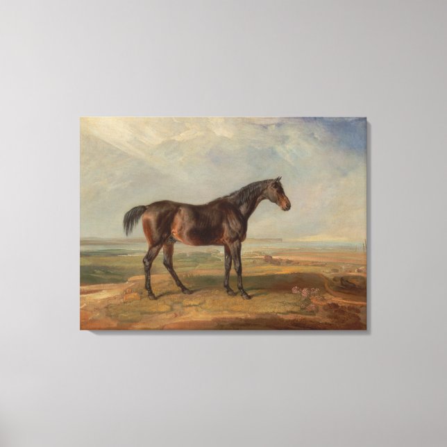 James Ward - Dr. Syntax, a Bay Racehorse Canvas Print (Front)