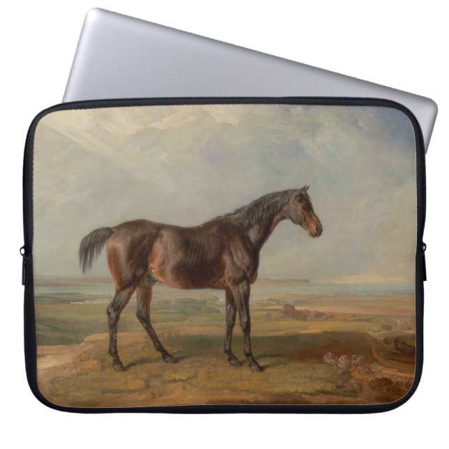 James Ward - Dr. Syntax, a Bay Racehorse Laptop Sleeve (Front)