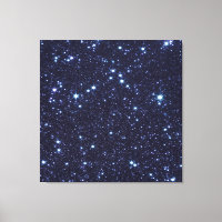 James Webb Space Telescope Large Magellanic Cloud