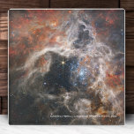 James Webb Tarantula Nebula Hi-Res Image 2022 Glass Coaster<br><div class="desc">This beautiful high resolution image of the Tarantula Nebula was taken by the NASA James Webb Space Telescope in September 2022. Located in the Large Magellanic Cloud (LMC), this nebula is a highly luminous area of star birth. Image was taken using the JWST Near-Infrared Camera (NIRCam). Keep or delete descriptive...</div>