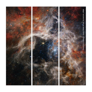 James Webb Tarantula Nebula Hi-Res Image 2022 Triptych