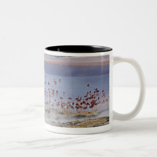 James's Flamingo, Phoenicoparrus jamesi Two-Tone Coffee Mug