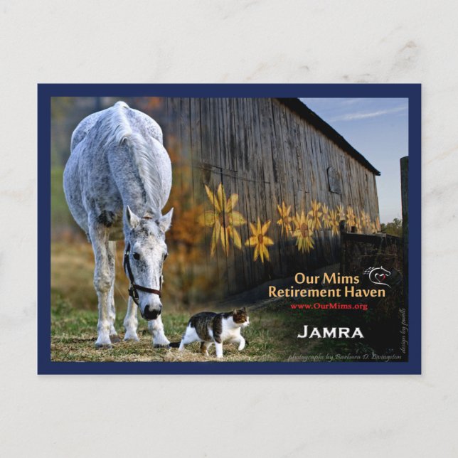 Jamra Postcard (Front)
