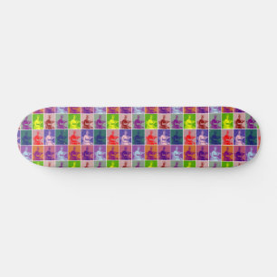 Jane Austen pop art colourful Skateboard